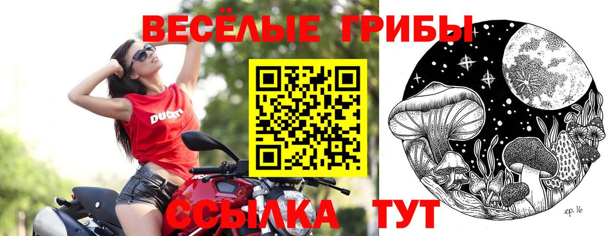 Галлюциногенные грибы мухоморы  закладка  Волжск  Вход с VPN  Псилоцибиновые грибы ЛСД 